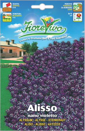 Άλυσσος μωβ νάνος