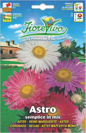 Άστερ Μαργαρίτα μονή