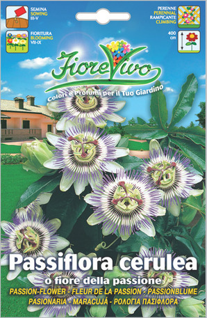 Ρολόγια πασίφλορα