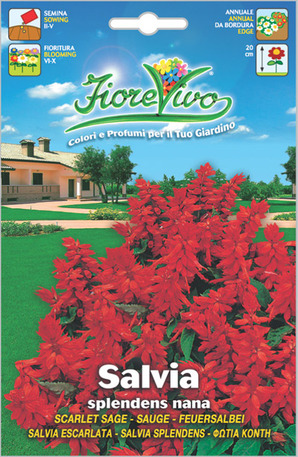 Φωτιά κοντή