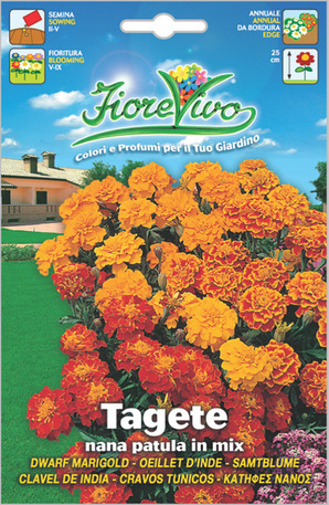 Κατηφές νάνος