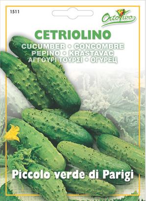 Αγγούρι κοντό τουρσί 1511