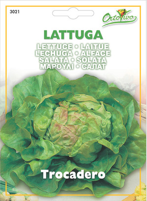 Μαρούλι σαλάτα trocadero 3021