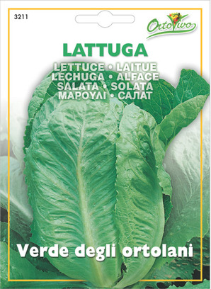 Μαρούλι romana ortolani 3211